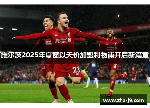 维尔茨2025年夏窗以天价加盟利物浦开启新篇章