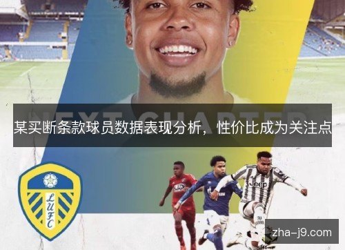 某买断条款球员数据表现分析，性价比成为关注点